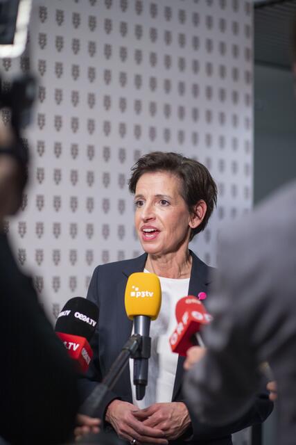 Foto: RegionalMedien Niederösterreich/Daniela Matejschek