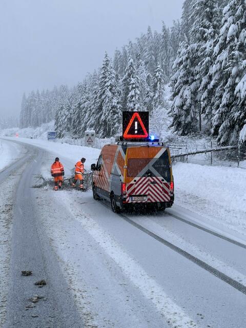 Die Asfinag-Mitarbeiter mussten immer wieder Bäume von der Straße wegbringen. | Foto: Bratschko