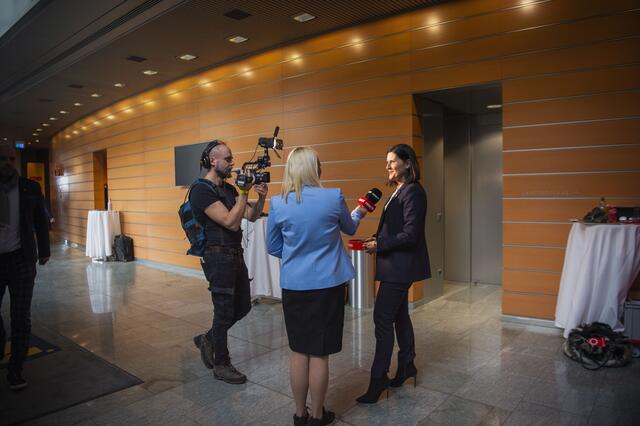 Foto: RegionalMedien Niederösterreich/Daniela Matejschek