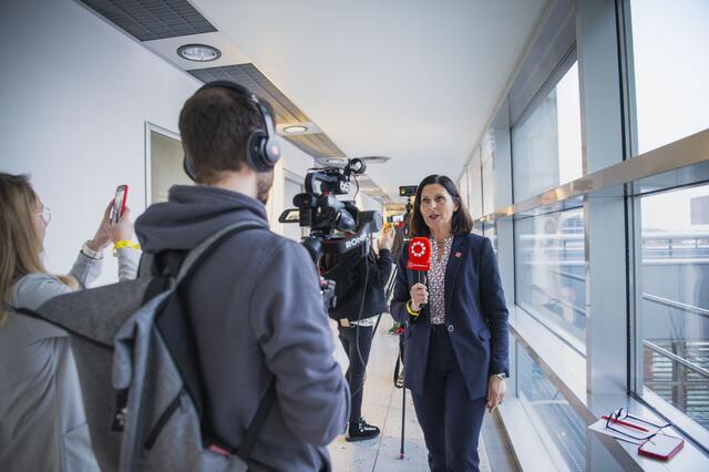 Foto: RegionalMedien Niederösterreich/Daniela Matejschek