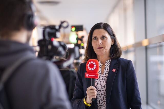 Foto: RegionalMedien Niederösterreich/Daniela Matejschek