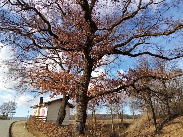 Würd mich interessieren, welchen Zweck dieses Häuschen hatte?