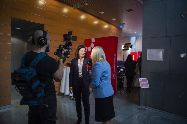 Foto: RegionalMedien Niederösterreich/Daniela Matejschek