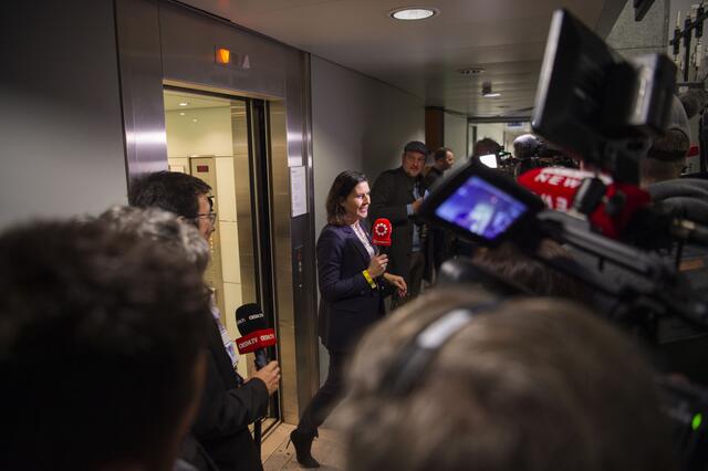 Foto: RegionalMedien Niederösterreich/Daniela Matejschek