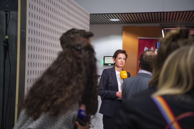 Foto: RegionalMedien Niederösterreich/Daniela Matejschek