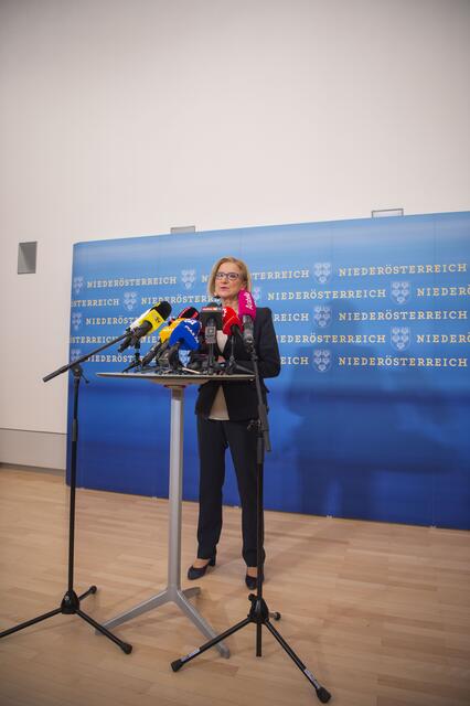 Foto: RegionalMedien Niederösterreich/Daniela Matejschek