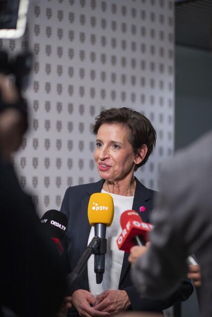 Foto: RegionalMedien Niederösterreich/Daniela Matejschek