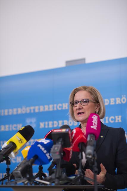 Foto: RegionalMedien Niederösterreich/Daniela Matejschek