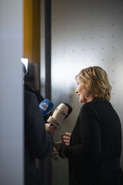 Foto: RegionalMedien Niederösterreich/Daniela Matejschek