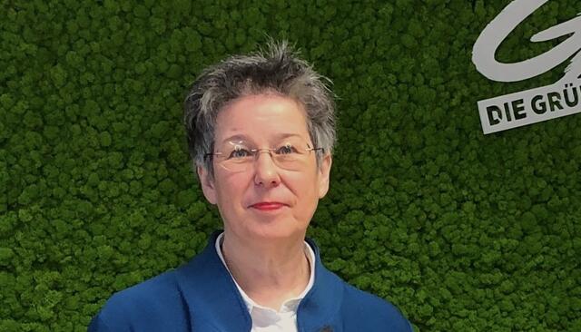 Grünen-Klubobfrau Regina Petrik kritisiert das parteipolitische Hick-Hack. | Foto: Grüne