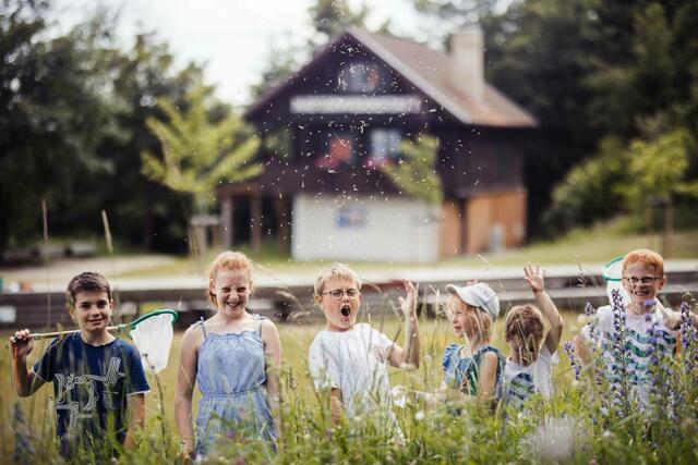 Kinder erleben die Natur hautnah und lernen viel Wissenswertes. | Foto: Branding Brothers / Chris Laistler