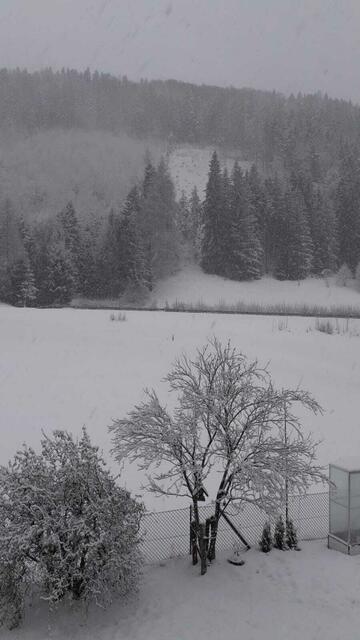 Winter im Garstnertal | Foto: Weymayer