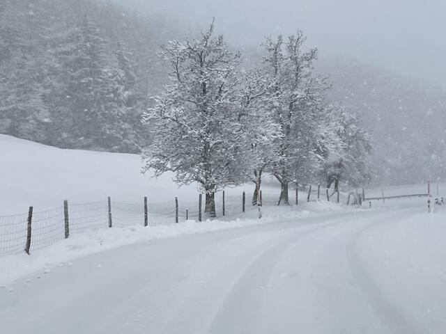 Winterliche Straßenverhältnisse im Bezirk Kirchdorf, hier in Seebach, zwischen Oberschlierbach und Kirchdorf an der Krems | Foto: Weymayer