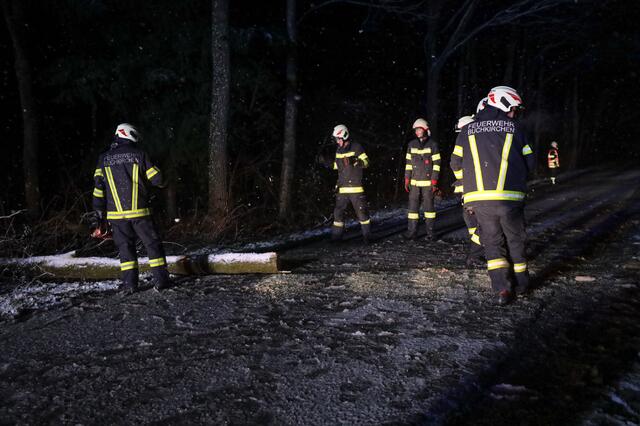 Anhaltende Schneefälle und starke Sturmböen führen zum blockierten Straßen durch umgefallene Bäume. Wie hier in Buchkirchen standen die Feuerwehren vielerorts im Einsatz. | Foto: Matthias Lauber/laumat.at