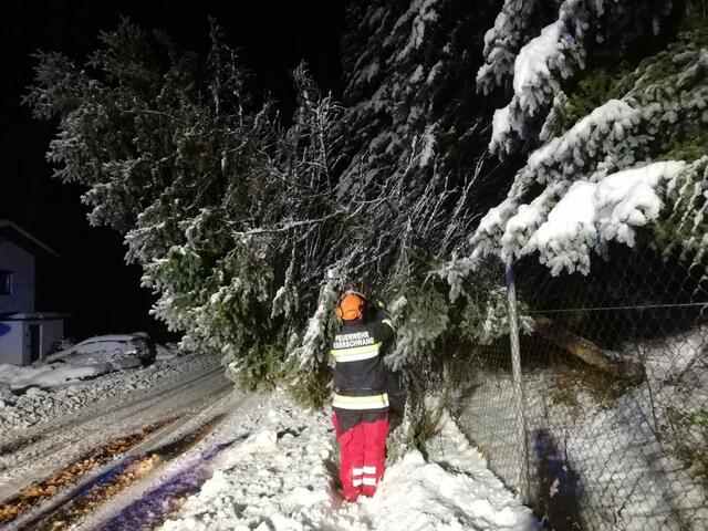 Foto: Freiwillige Feuerwehr Eberschwang