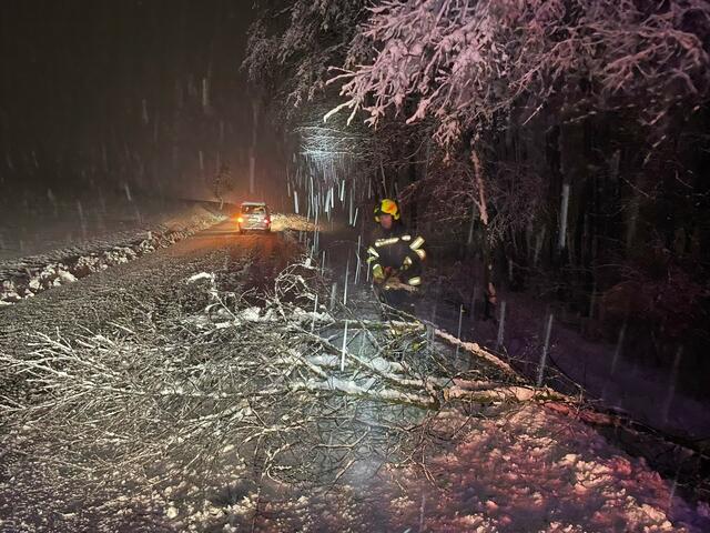 Foto: Freiwillige Feuerwehr Neuhofen