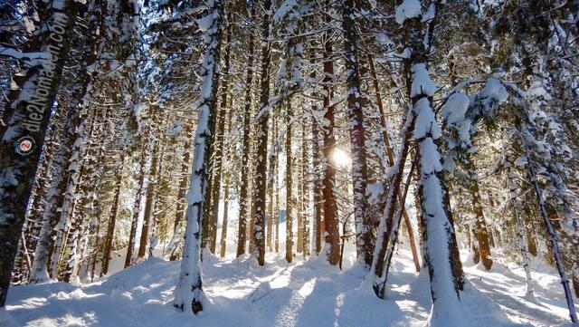 Foto: die2Nomaden.com