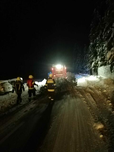 Foto: Freiwillige Feuerwehr Eberschwang