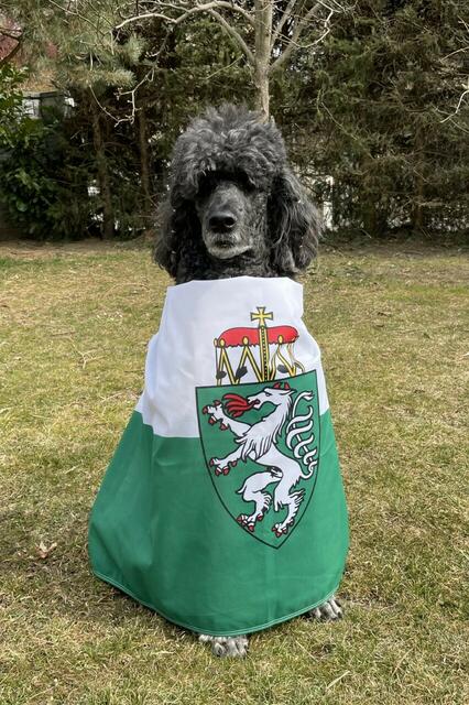 Tierische Sache: Flagge zeigen am 19. März. | Foto: ÖVP Steiermark