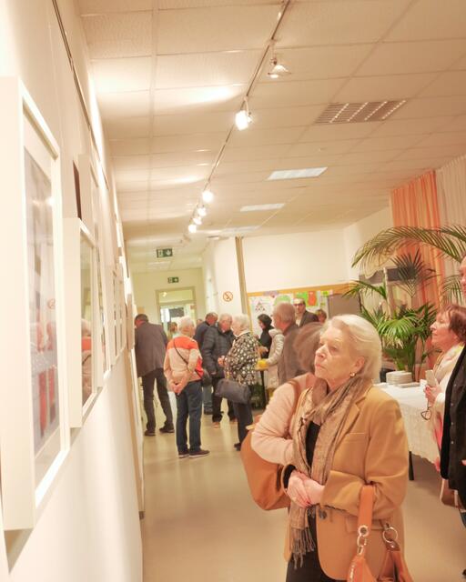 Vladimira Bousska vom Meidlinger Bezirksmsuseum betrachtet die Fotos. | Foto: BV 12/Schinagl