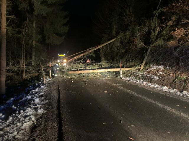 Die Feuerwehrleute entfernten die Baumstämme | Foto: FF Gföhl/Völker