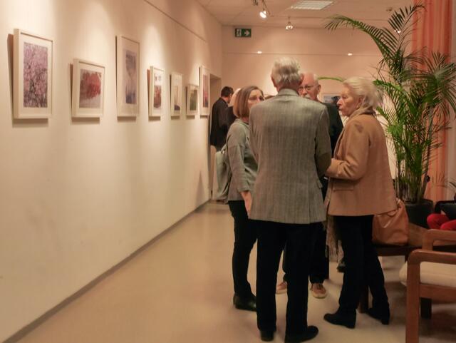 Foto: BV 12/Schinagl