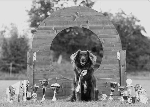 Auch im hohen alter räumte er die Pokale ab | Foto: (alle) Mlejnek