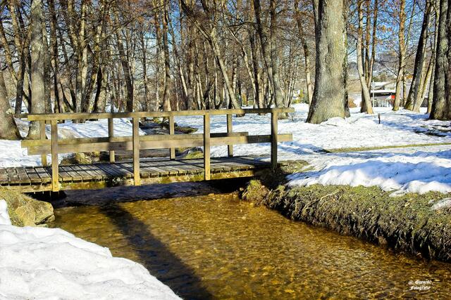 .......im Klingerpark ist das Wasser schön ruhig ....