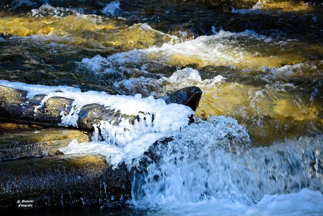 .......im Wasser drinnen ......