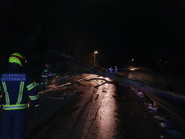 Foto: Freiwillige Feuerwehr Osternach