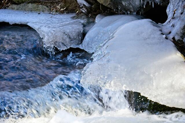 ........die Eisdacherlen hängen rein .....