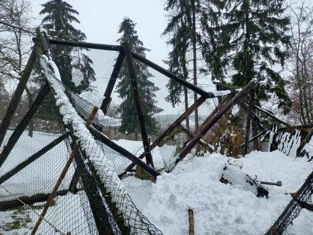 Auf diesem Bild wird das Ausmaß der Zerstörung durch die Schneemassen deutlich. | Foto: Vogelpark Turnersee
