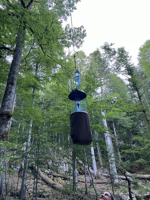 Eine Baumfallle im Wildnisgebiet Dürrenstein-Lassingtal | Foto: Laura Pabst