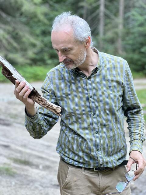 Insekten-Experte Petr Zábranský ist den Käfern auf der Spur. | Foto: Laura Pabst