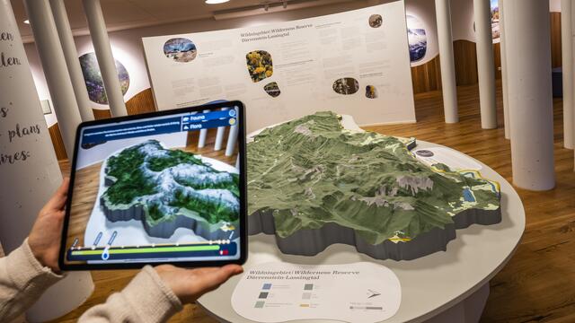 Bewusstseinbildung für die ganze Familie mit modernster Technik im Haus der Wildnis in Lunz am See | Foto: Theo Kust