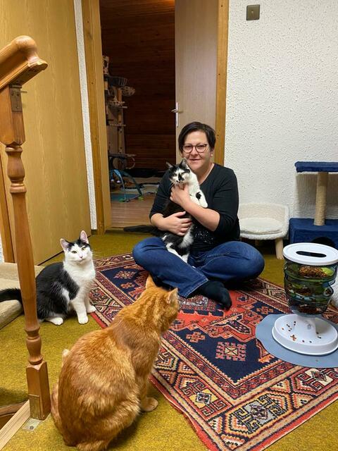 Michaela Fasthuber betreut als Pflegemama des Tierschutzvereins Schärding seit fünf Jahren bei sich zu Hause Fundkatzen und Streuner. Für dieses zeitintensive ehrenamtliche Engagement ist sie 2023 für den Ehrenamtspreis "Florian" nominiert. | Foto: Fasthuber