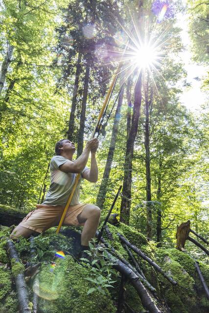 Eine Baumfalle wird im Wildnisgebiet Lassingtal-Dürrenstein montiert. | Foto: Theo Kust