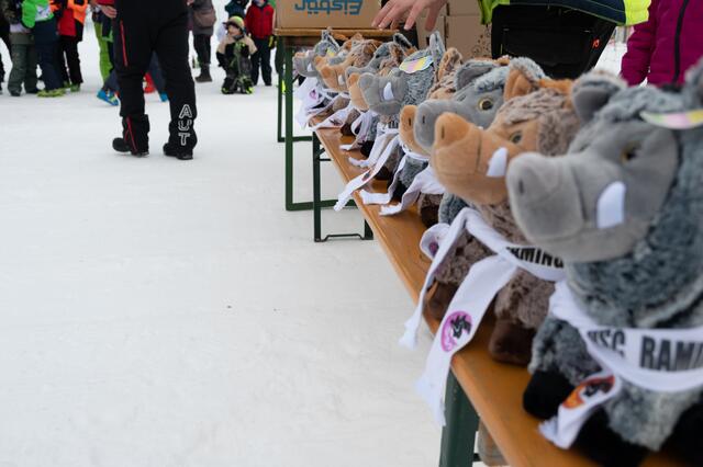 Foto: USC Ramingstein/ Decker