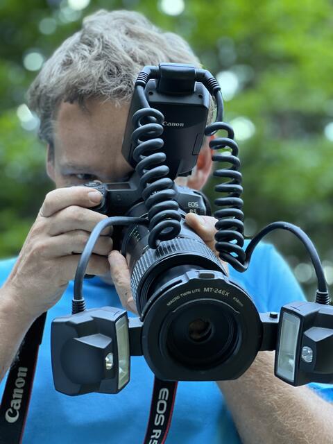 Käferfotograie im Wildnisgebiet Dürrenstein-Lassingtal | Foto: Laura Pabst