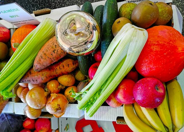 Vegane Gesellschaft Österreich, Messe in Graz