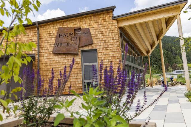 Bewusstseinbildung für die ganze Familie mit modernster Technik im Haus der Wildnis in Lunz am See | Foto: Theo Kust