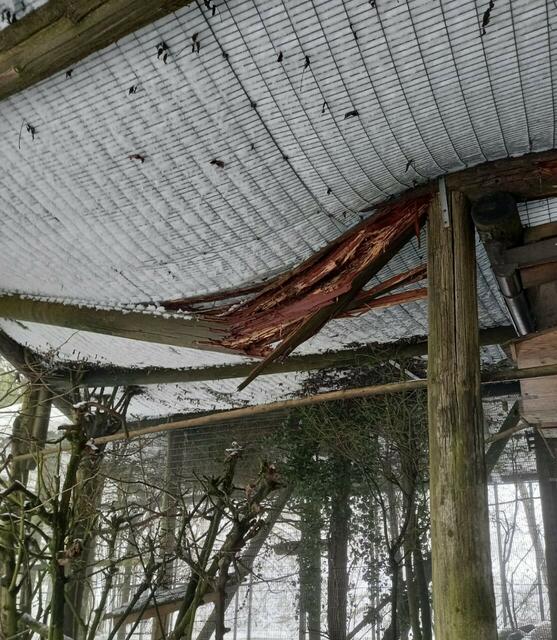 Foto: Vogelpark Turnersee