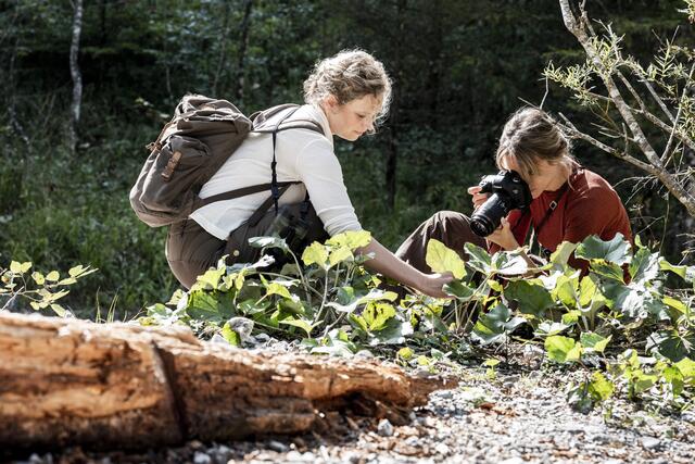 Forschung im Wildnisgebiet Dürrenstein-Lassingtal | Foto: Theo Kust