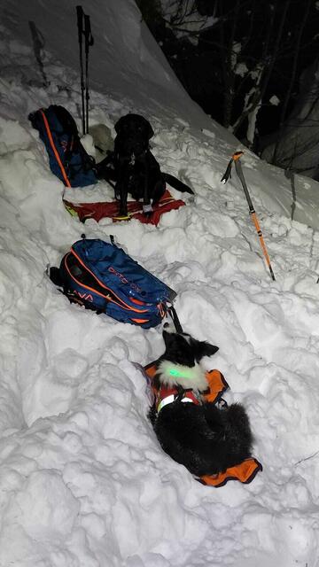 Auch Suchhunde der Rettung waren im Einsatz | Foto: Bergrettung Zell am See