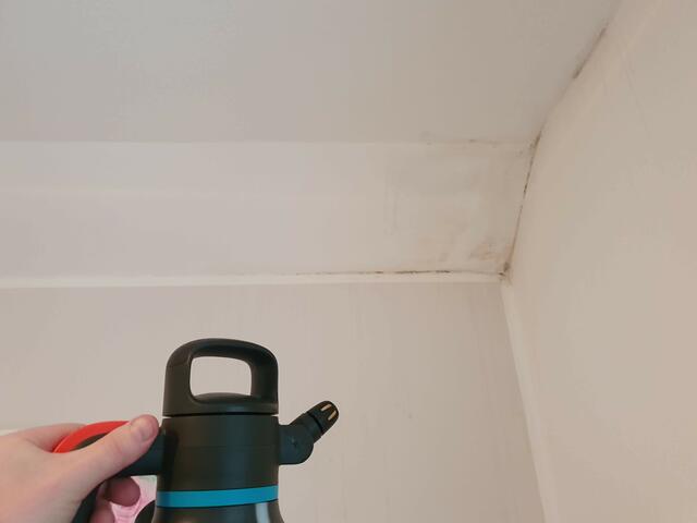 Nach der Schimmelbeseitigung: Hierbei war die Ursache eine Wärmebrücke in Kombination mit schlechtem Nutzerverhalten die Ursache. | Foto: Soluto Humer GmbH