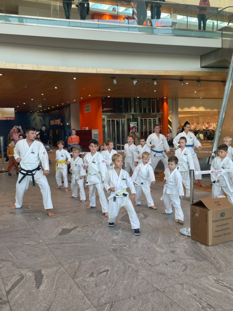 Foto: www.taekwondo-austria.com