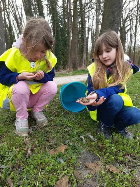 Foto: naturschutzbund