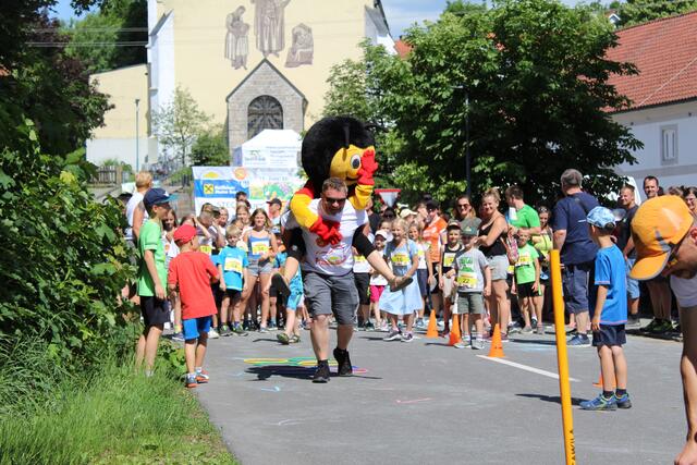 Eine sprichwörtlich "flotte Biene" ist in den vergangenen Jahren mitgelaufen. | Foto: Lebensfreunde Prambachkirchen