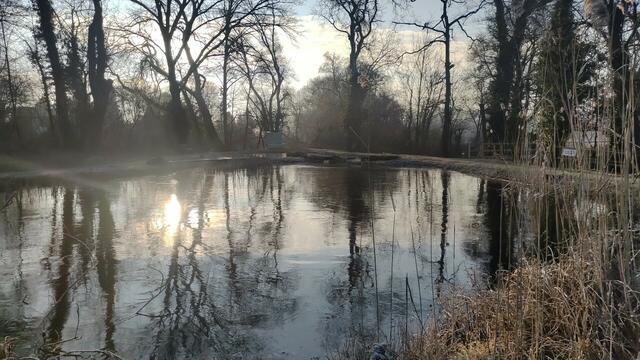 Noch liegt die Schlossinsel Orth im Winterschlaf. | Foto: Lehner