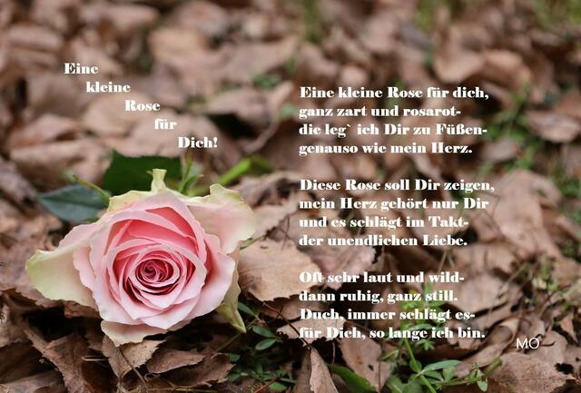 Heute Leg Ich Dir Eine Rose Text